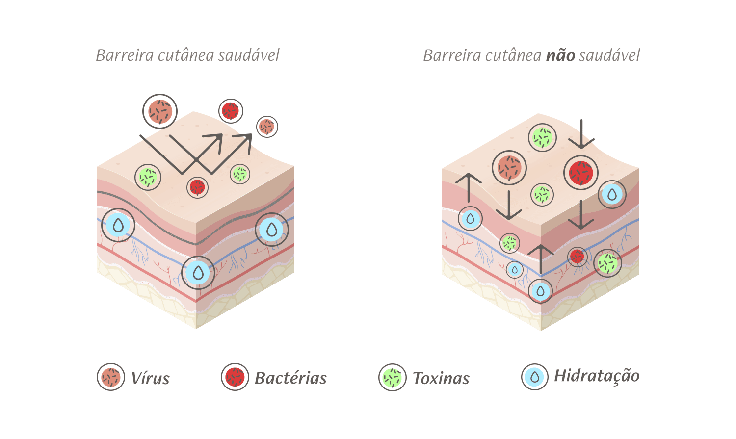 Infográfico demonstrando como é uma barreira cutânea saudável e uma não saudável.