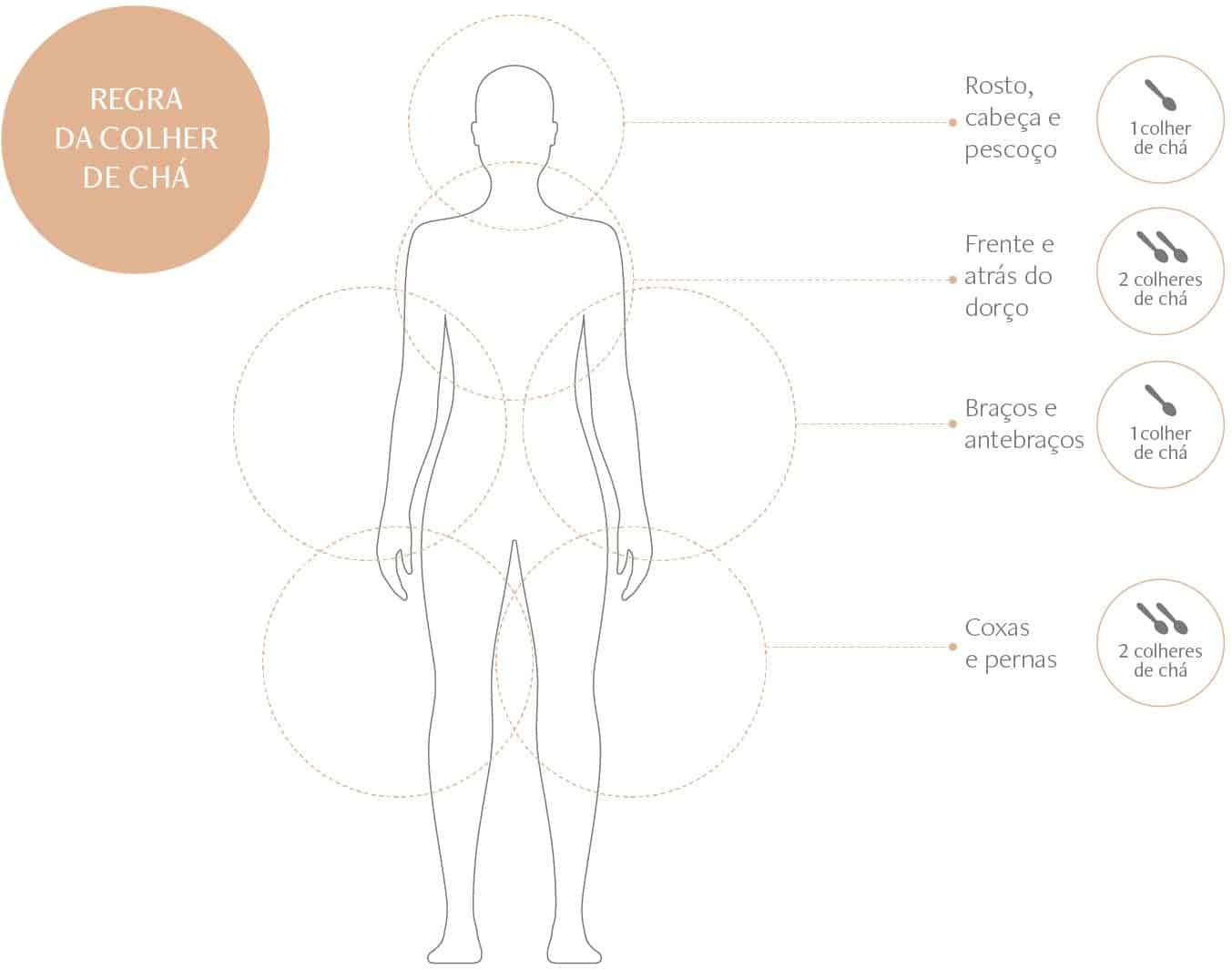 Infográfico do corpo humano com a quantidade ideal de protetor solar para cada parte.